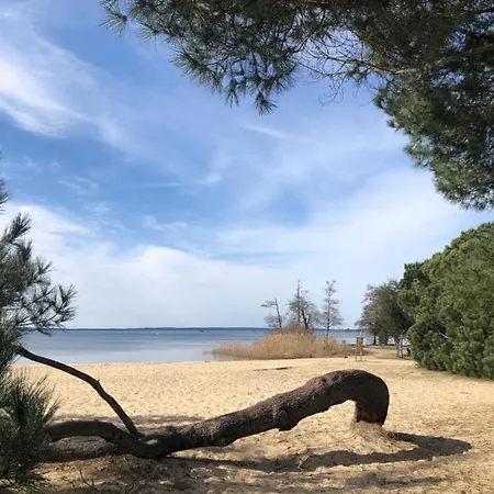 Au Coeur Des Landes