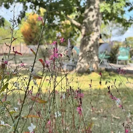 Holiday home Au Coeur Des Landes Lue