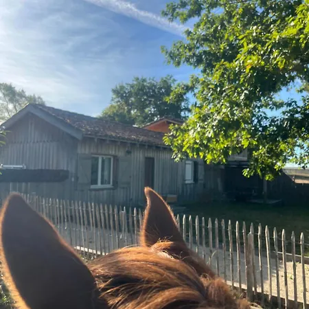 Au Coeur Des Landes *