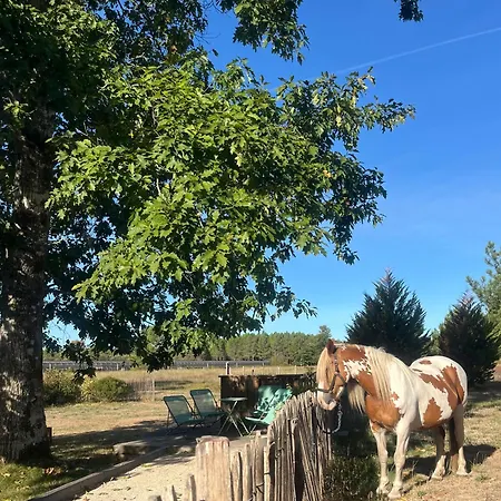 Holiday home Au Coeur Des Landes Lue